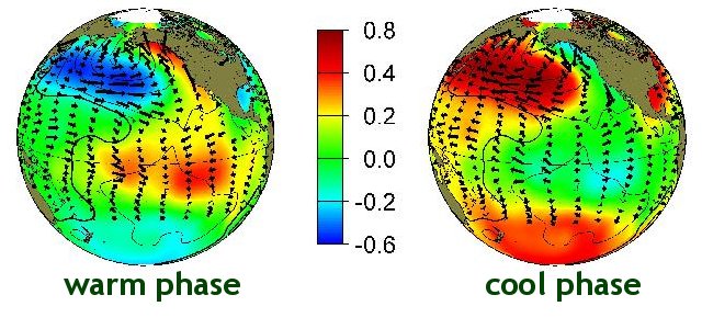 typical wintertime sea surface temperature , sea level pressure and surface wind stress anomaly patterns during warm and cool phases of PDO