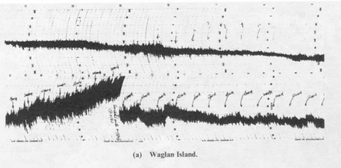 Waglan Island