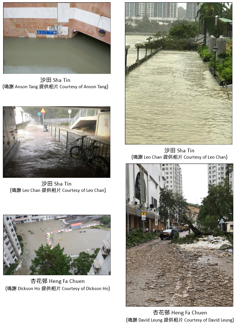 Flooding and damage caused by storm surge during the passage of Mangkhut.